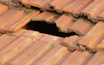 roof repair Hillend