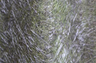 Hillend fibreglass roof work